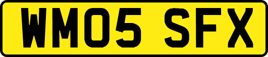 WM05SFX