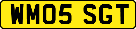 WM05SGT