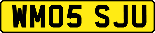 WM05SJU
