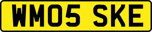 WM05SKE