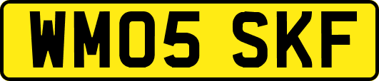 WM05SKF