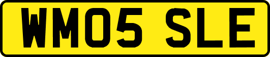 WM05SLE