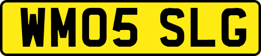 WM05SLG
