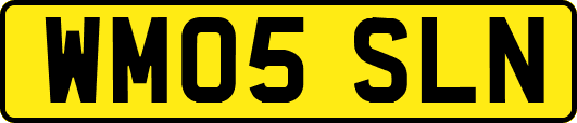 WM05SLN