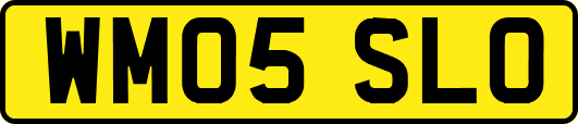 WM05SLO