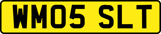 WM05SLT