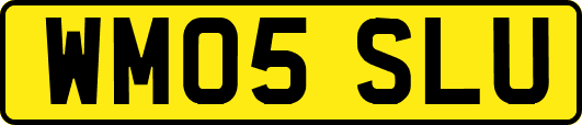 WM05SLU