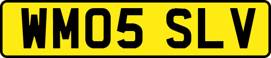 WM05SLV
