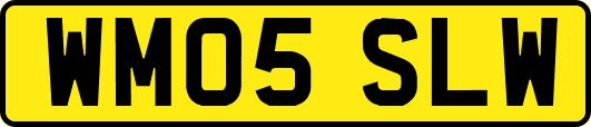 WM05SLW