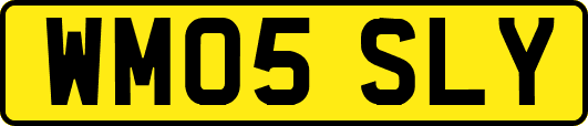 WM05SLY