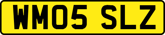 WM05SLZ