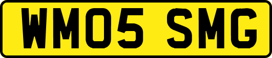 WM05SMG