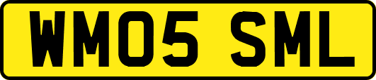 WM05SML