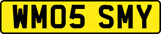 WM05SMY