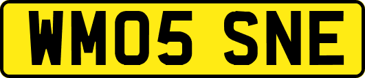 WM05SNE