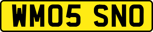 WM05SNO