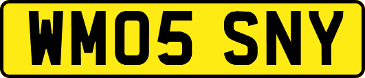 WM05SNY