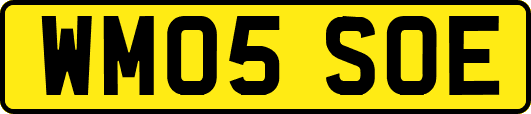 WM05SOE