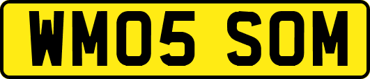 WM05SOM
