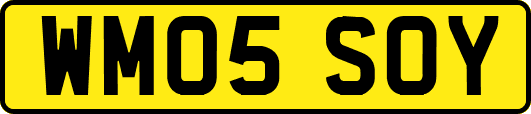 WM05SOY