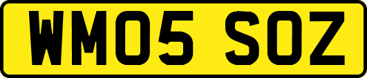 WM05SOZ