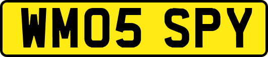 WM05SPY