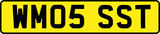 WM05SST