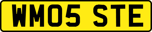 WM05STE