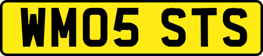 WM05STS
