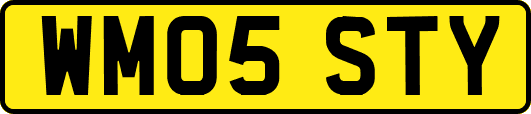 WM05STY