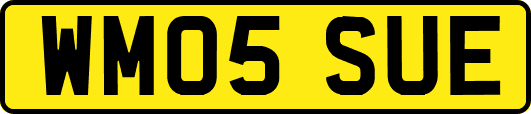 WM05SUE