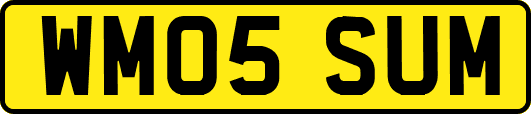 WM05SUM