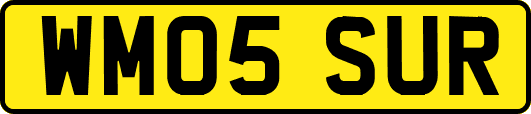 WM05SUR
