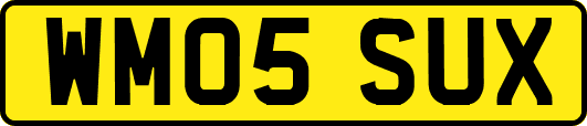 WM05SUX