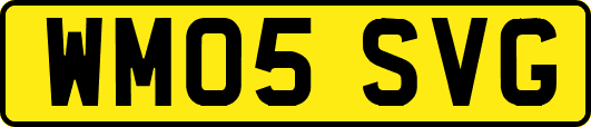 WM05SVG