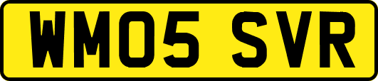 WM05SVR