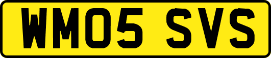 WM05SVS