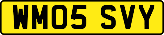 WM05SVY