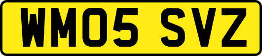 WM05SVZ