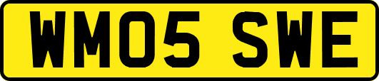WM05SWE