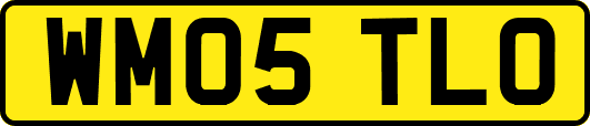 WM05TLO