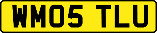 WM05TLU