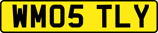 WM05TLY