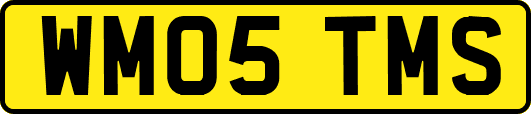 WM05TMS