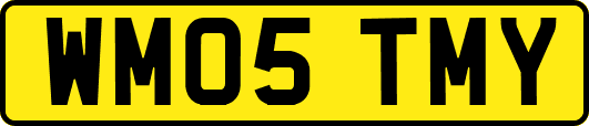 WM05TMY