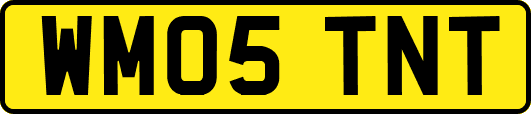 WM05TNT