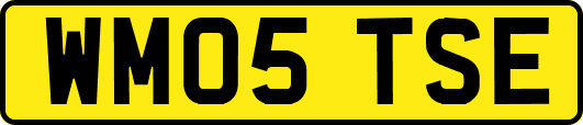 WM05TSE