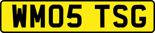 WM05TSG