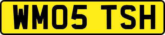 WM05TSH