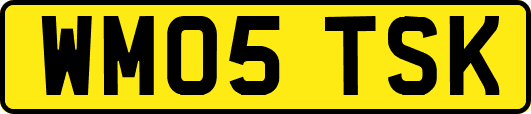 WM05TSK